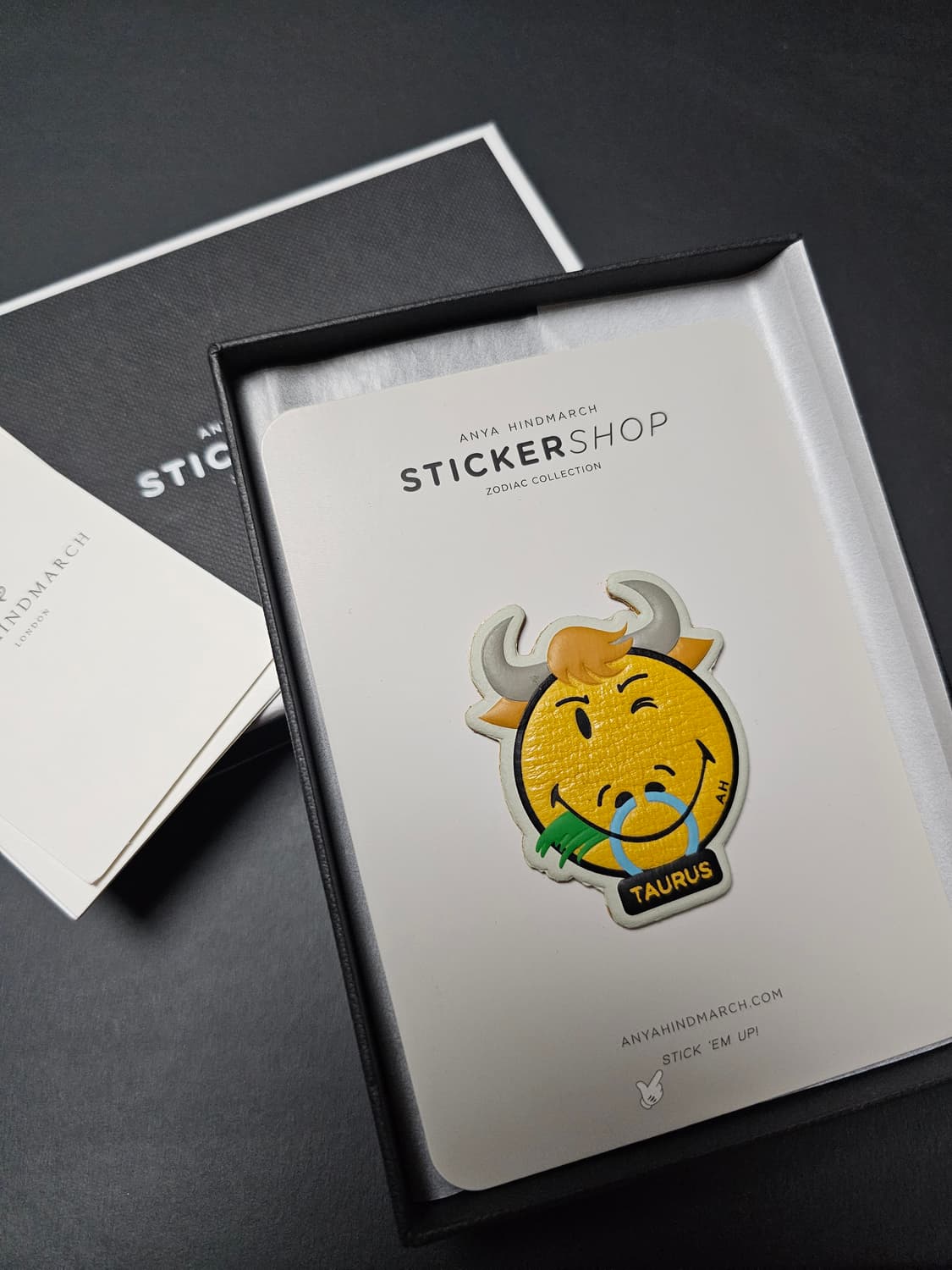 안야힌드마치 별자리 레더스티커 상품이미지1