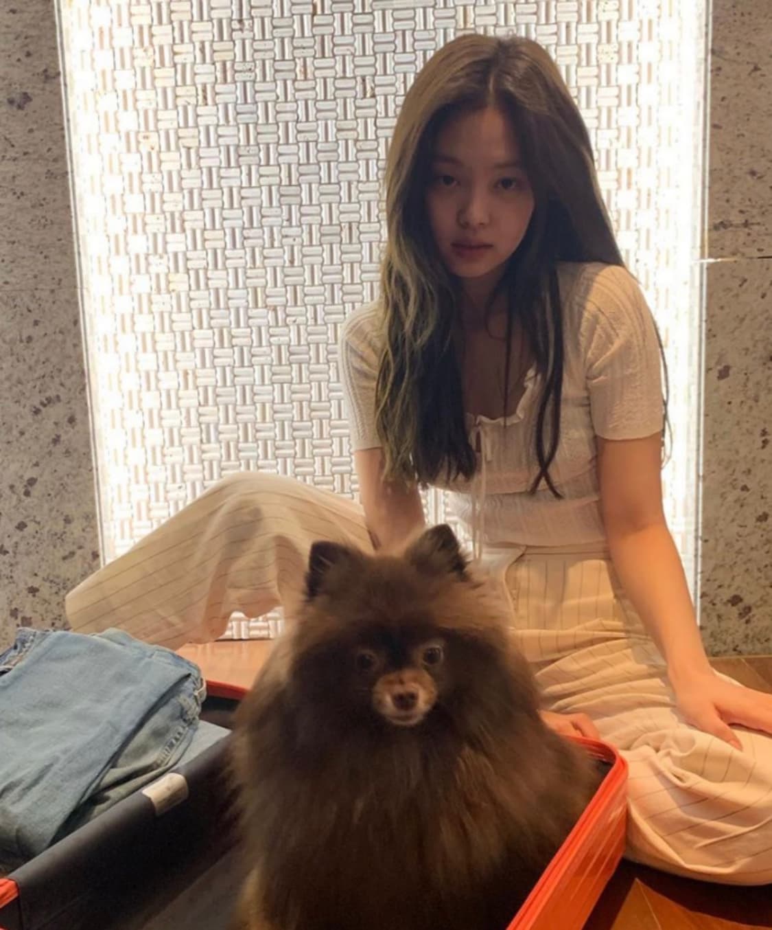 Sandro 산드로 제니니트 상품이미지2