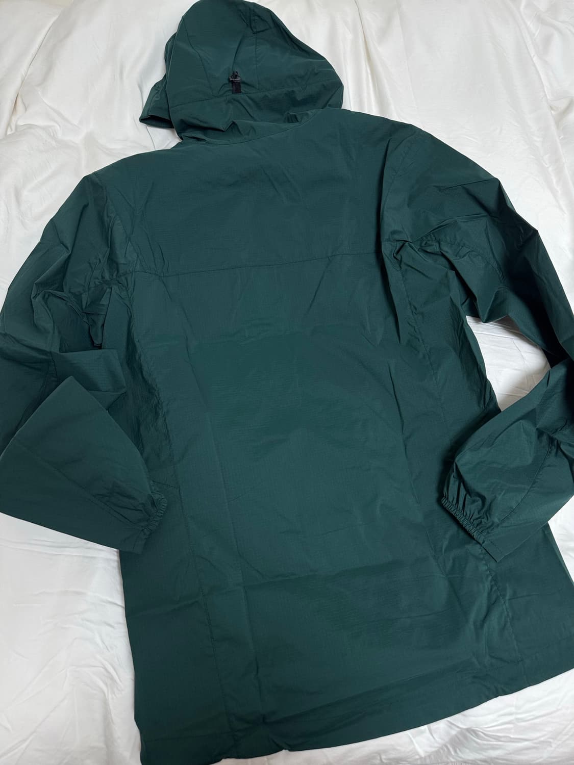 아크테릭스 스쿼미시 후디 피테아스 상품이미지10