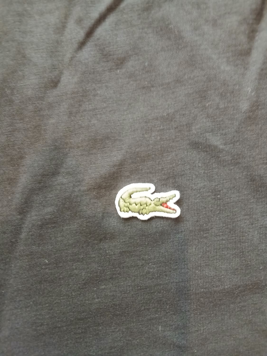 Tee-shirt Lacoste. 상품이미지3