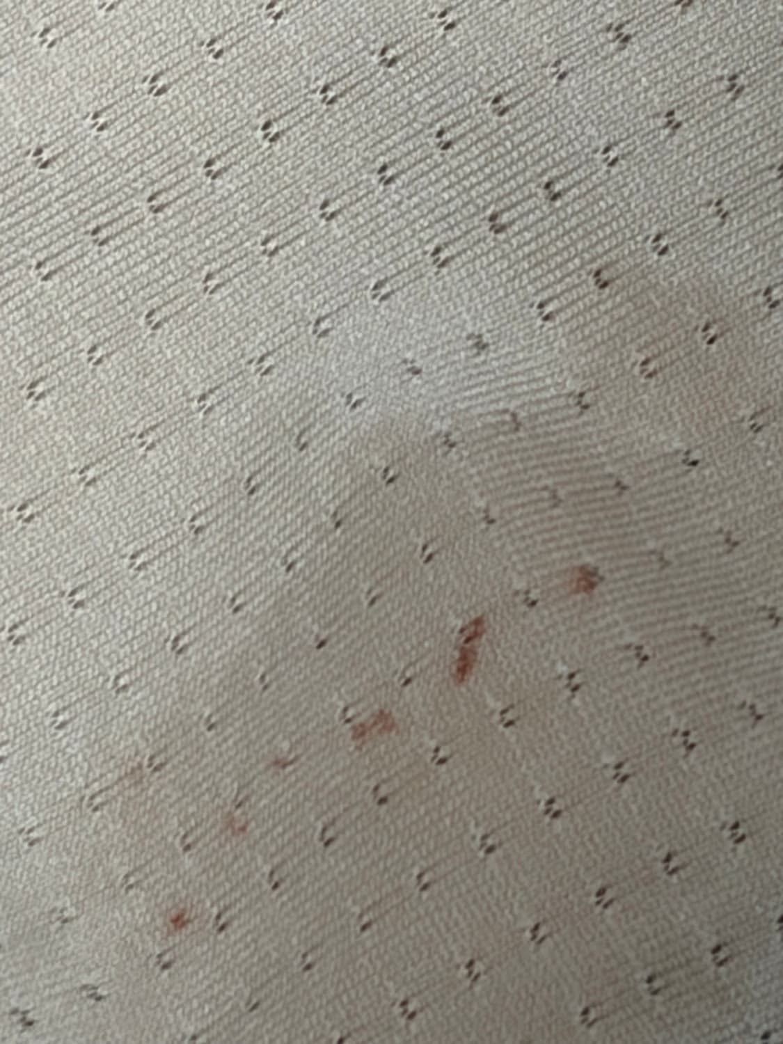 미스치프 긴팔티 상품이미지2