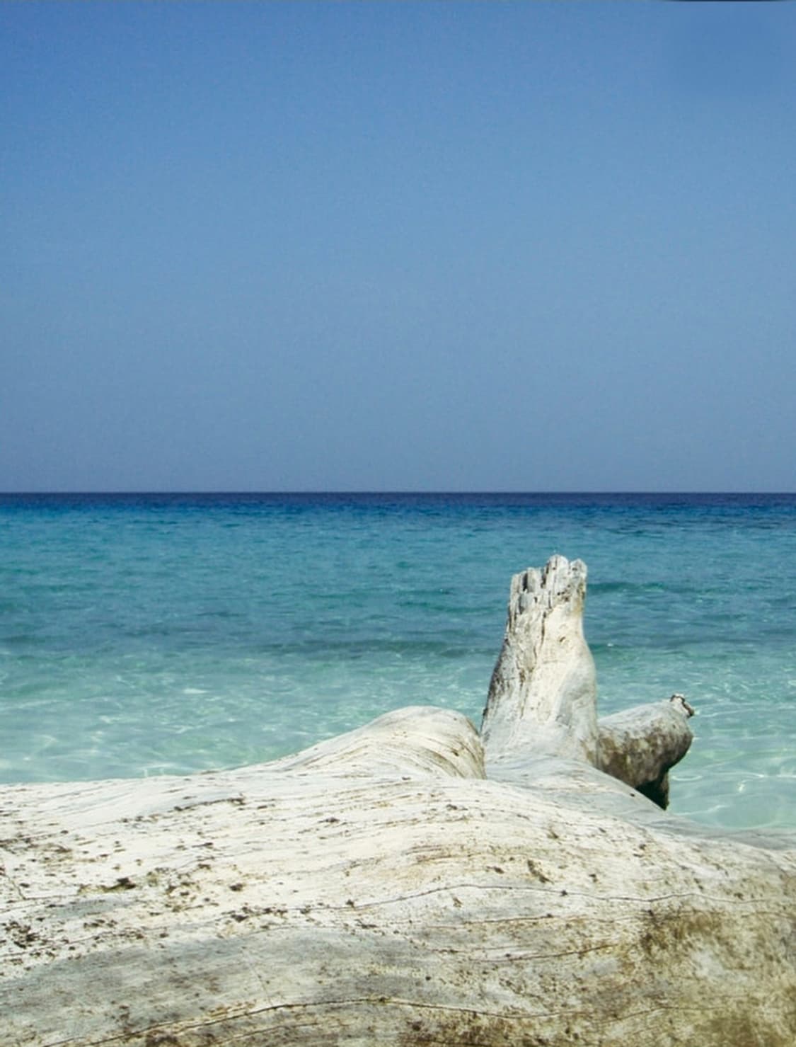 Sony Cyber-shot DSC-T77 실버 ✨ 초슬림 감성 디카  상품이미지10