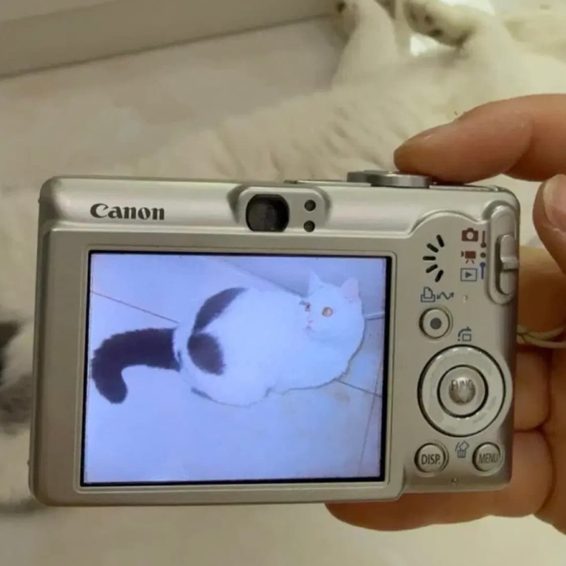 A급)캐논 익서스 60 CANON IXUS 60 빈티지 디지털카메라 디카 상품이미지8