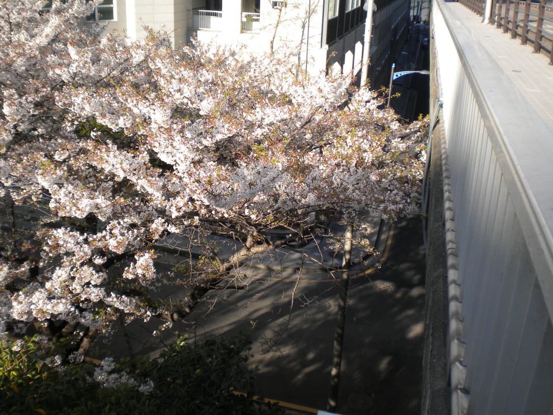 니콘 쿨픽스 s230(한글지원) 상품이미지8