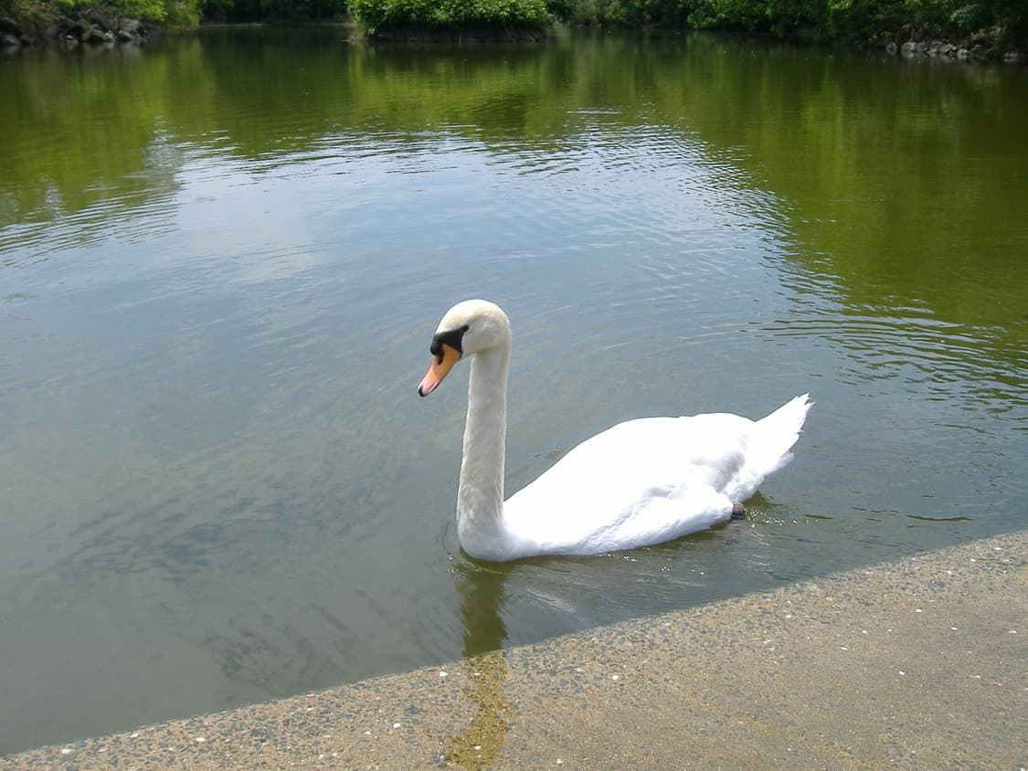 후지필름 A345 디카 (작례 有) 상품이미지3