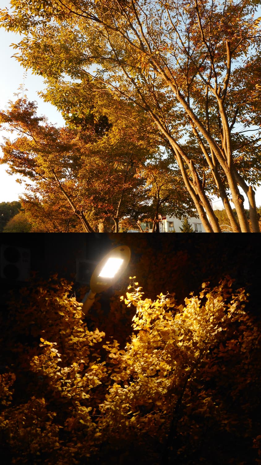 니콘 쿨픽스 A300 상품이미지10