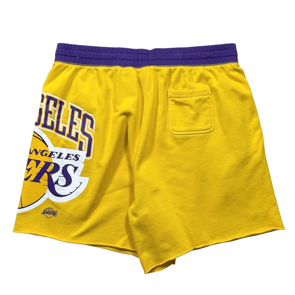 나이키 NBA LA 레이커스 75주년 쇼츠 반바지 상품이미지4