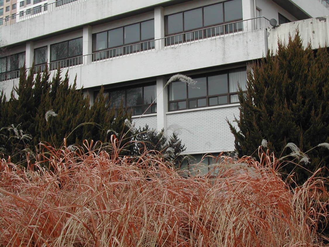 니콘 쿨픽스 885 빈티지 디카 상품이미지8