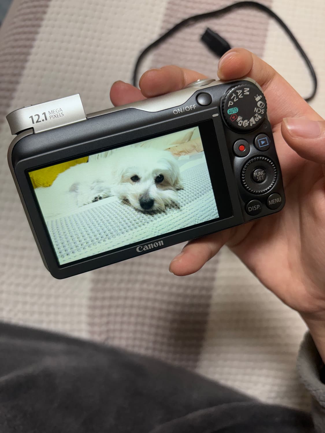 캐논 파워샷 sx220 작례(O) 상품이미지3