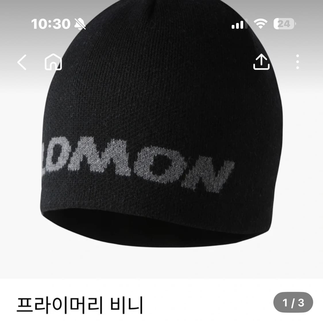 살로몬 프라이머리 비니 구매합니다 상품이미지1