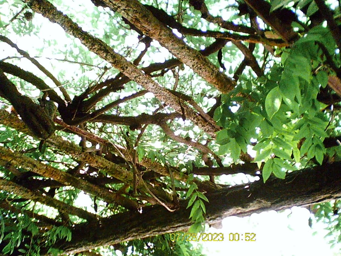 비비타 vivitar iTwist 610 DVR 상품이미지10