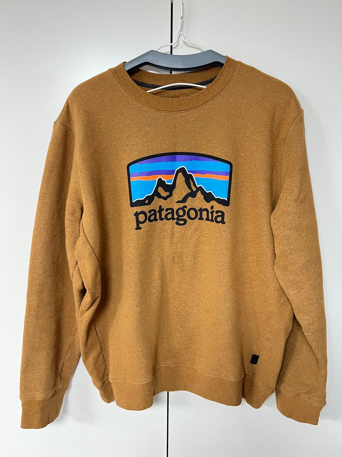 파타고니아 맨투맨 L 상품이미지1