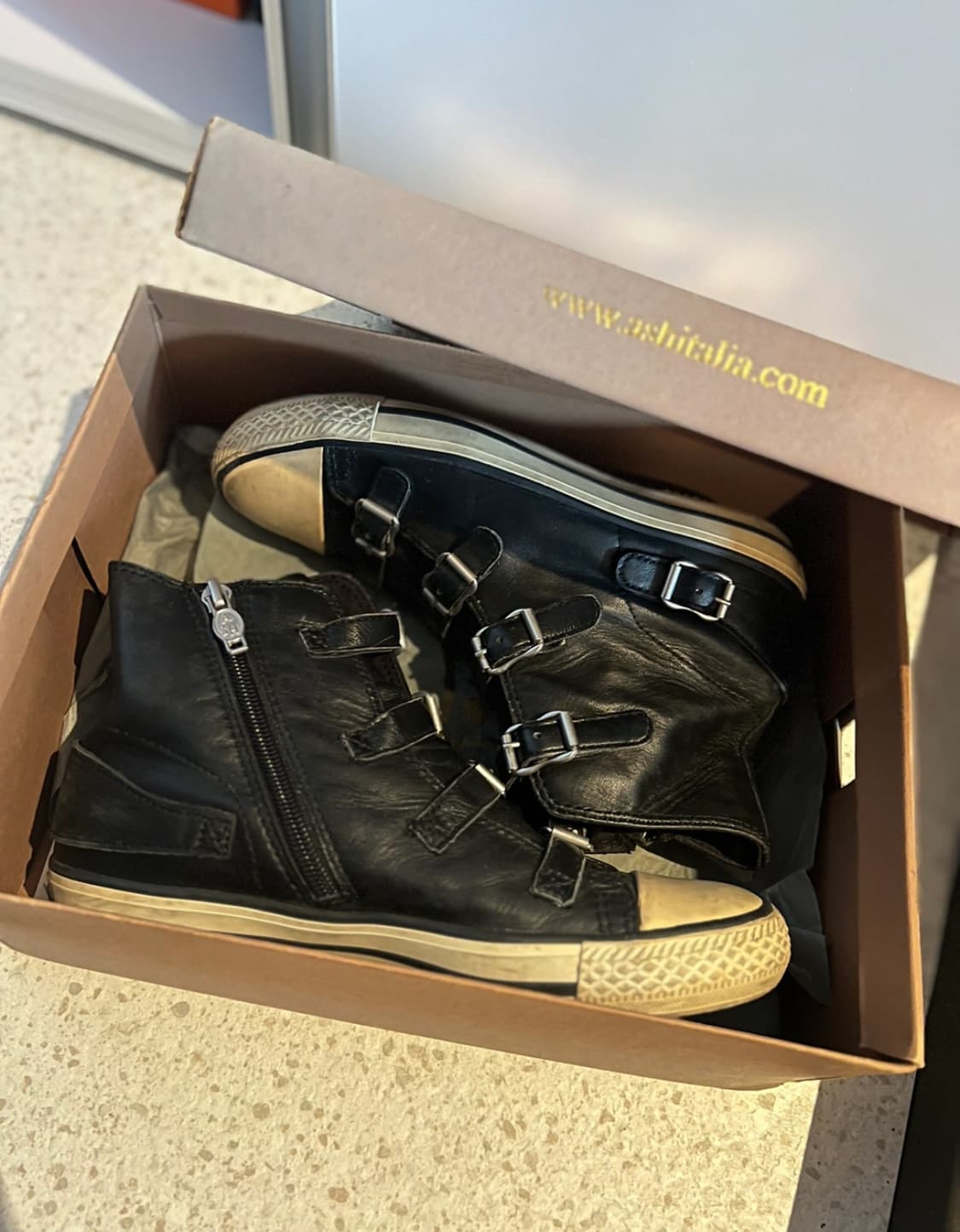 Ash 아쉬 버진 37 상품이미지4