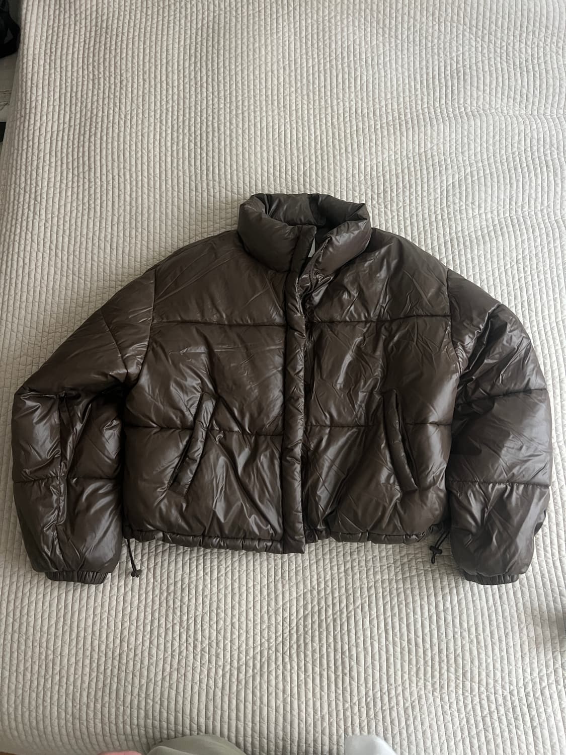 비터쉘즈(bittercells),버쉬카,포에버21,에잇세컨즈 크롭패딩 상품이미지5