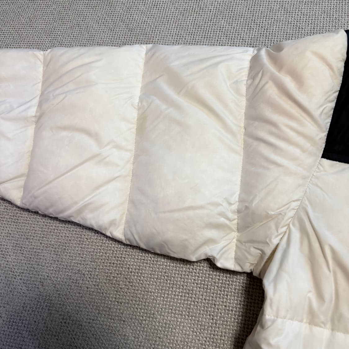 노스페이스 에코 눕시 패딩 상품이미지6