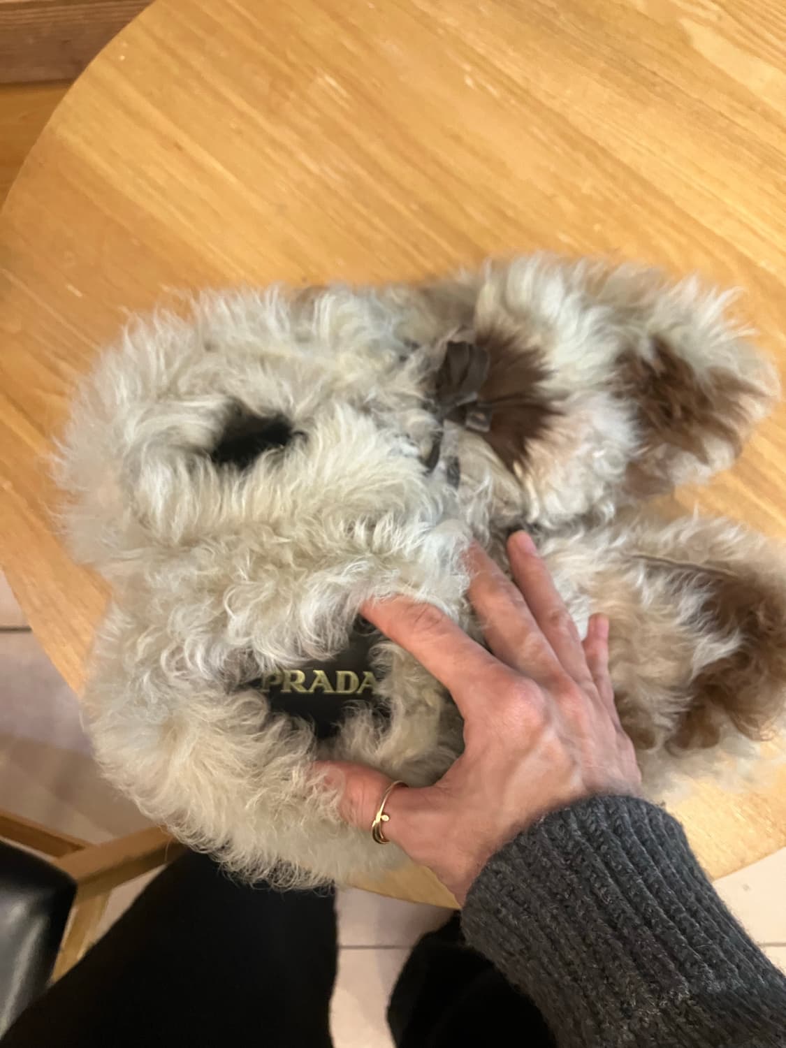 Prada 프라다 - 17fw 시어링 모카신 상품이미지5