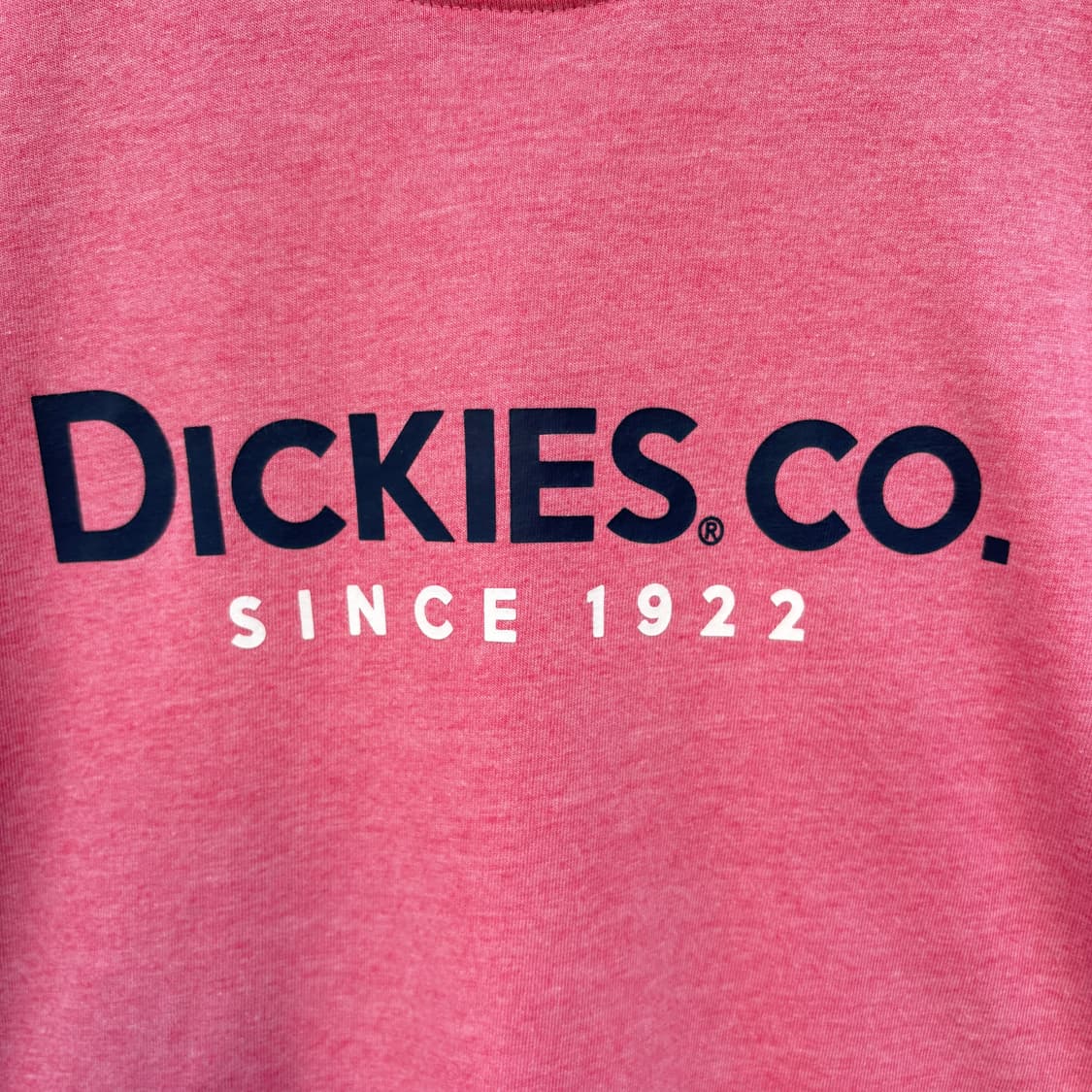 Dickies 디키즈 반팔 티셔츠 상품이미지4