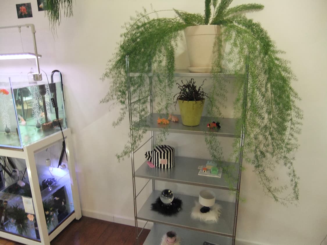 (풀박스/작례)후지필름 파인픽스 f80exr 상품이미지5