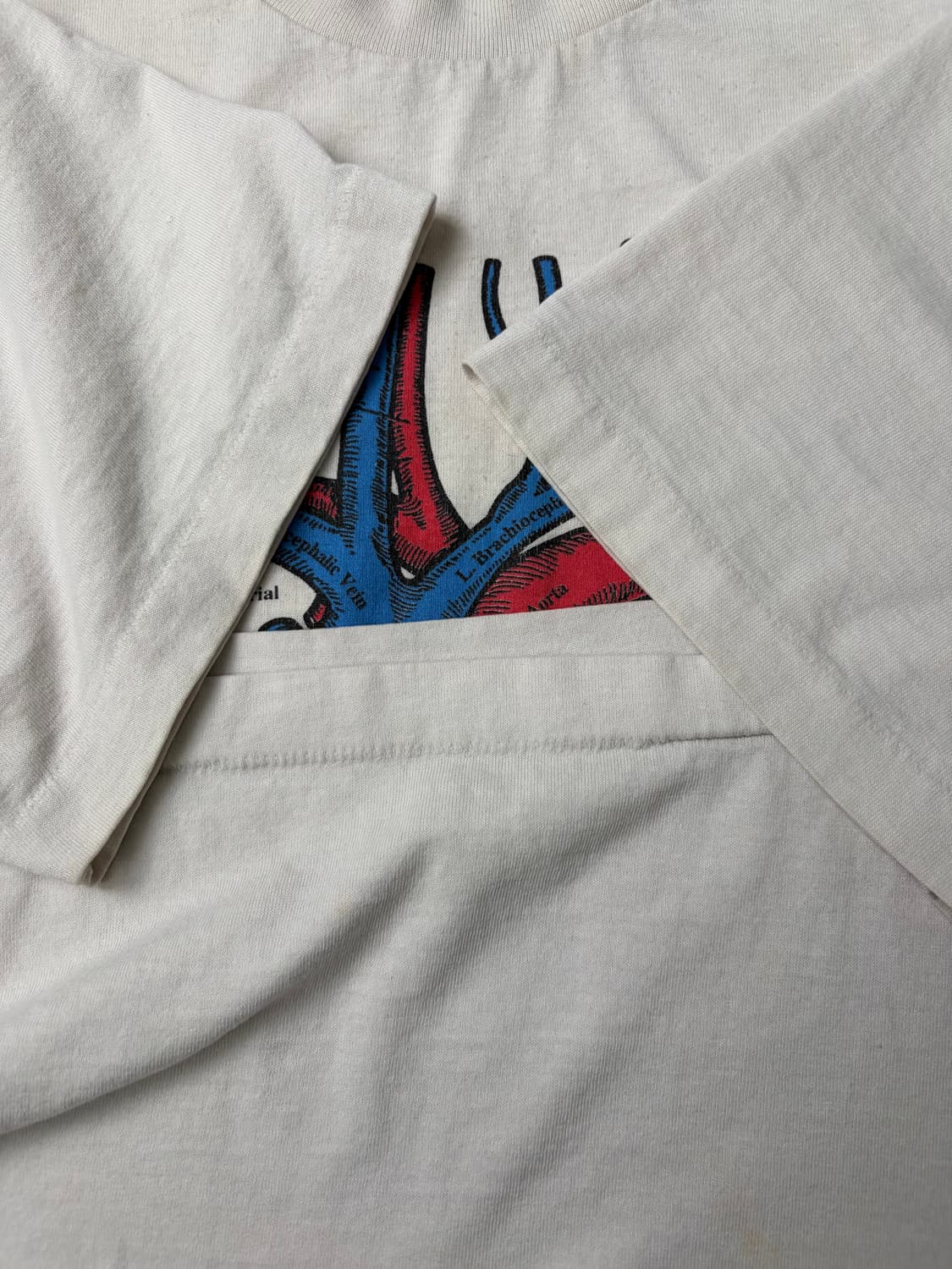 90s Anatomy Tee (white) 상품이미지7