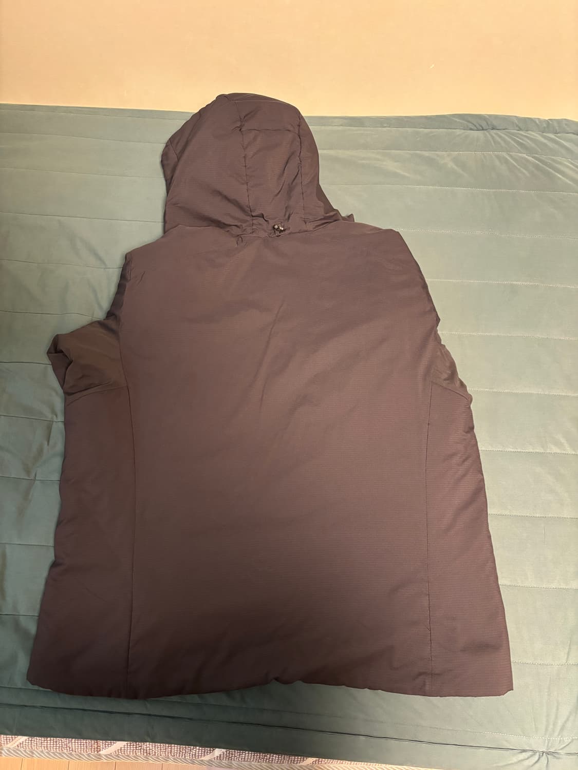 아크테릭스 아톰후디 블랙 상품이미지5