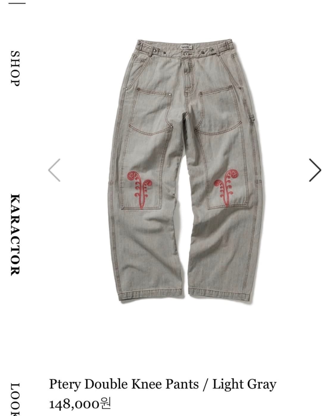 Ptery double knee pants Light gray 01 구매 상품이미지1