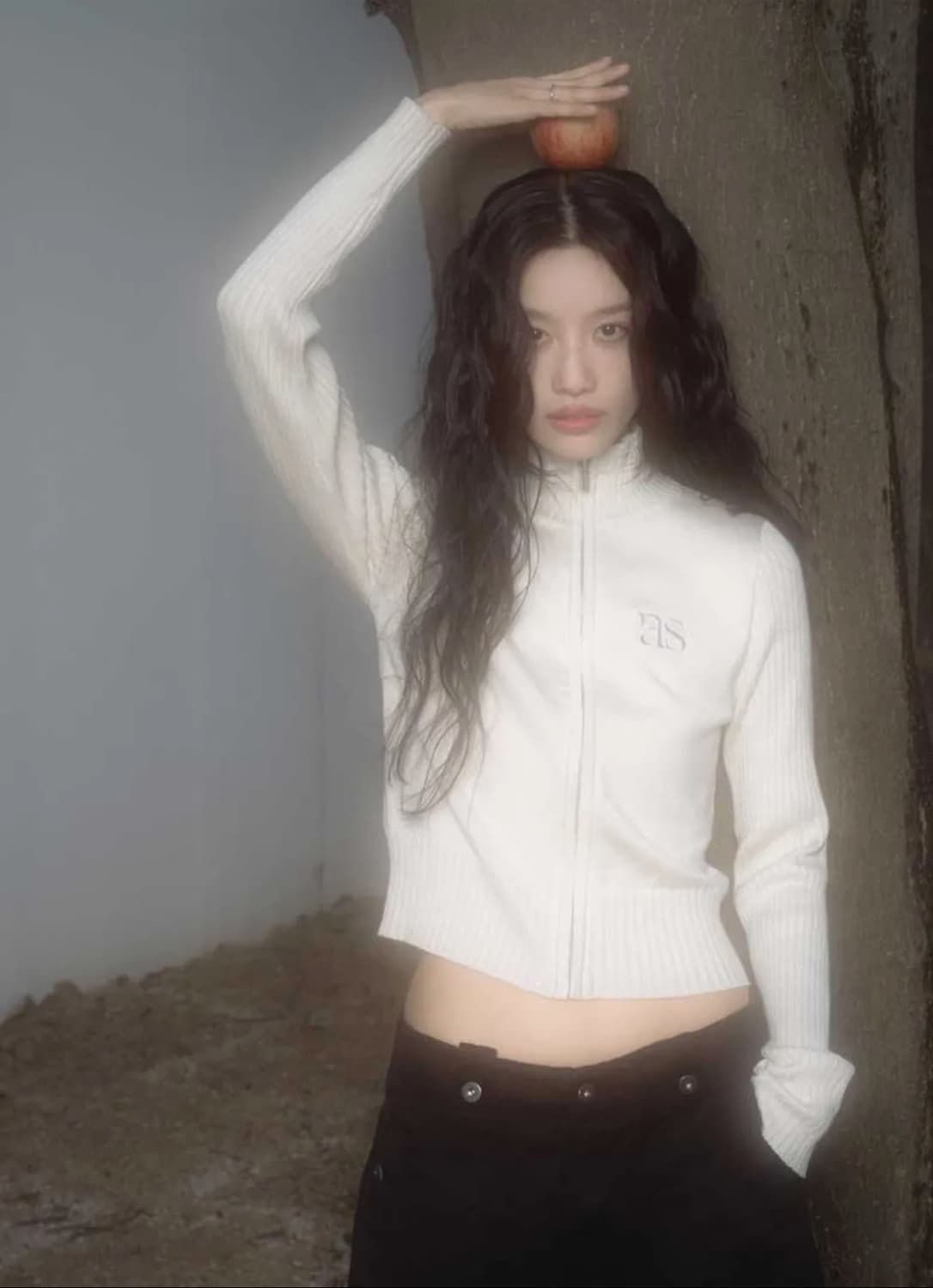 애즈온 마론 니트 집업(교환) 상품이미지1