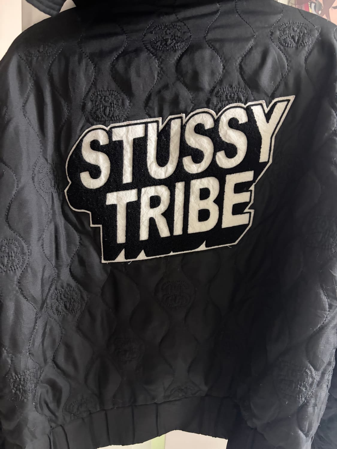 스투시 자켓 바람막이 상품이미지1