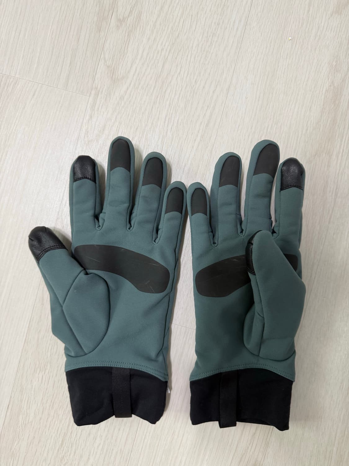 아크테릭스 벤타 글러브 L 상품이미지1