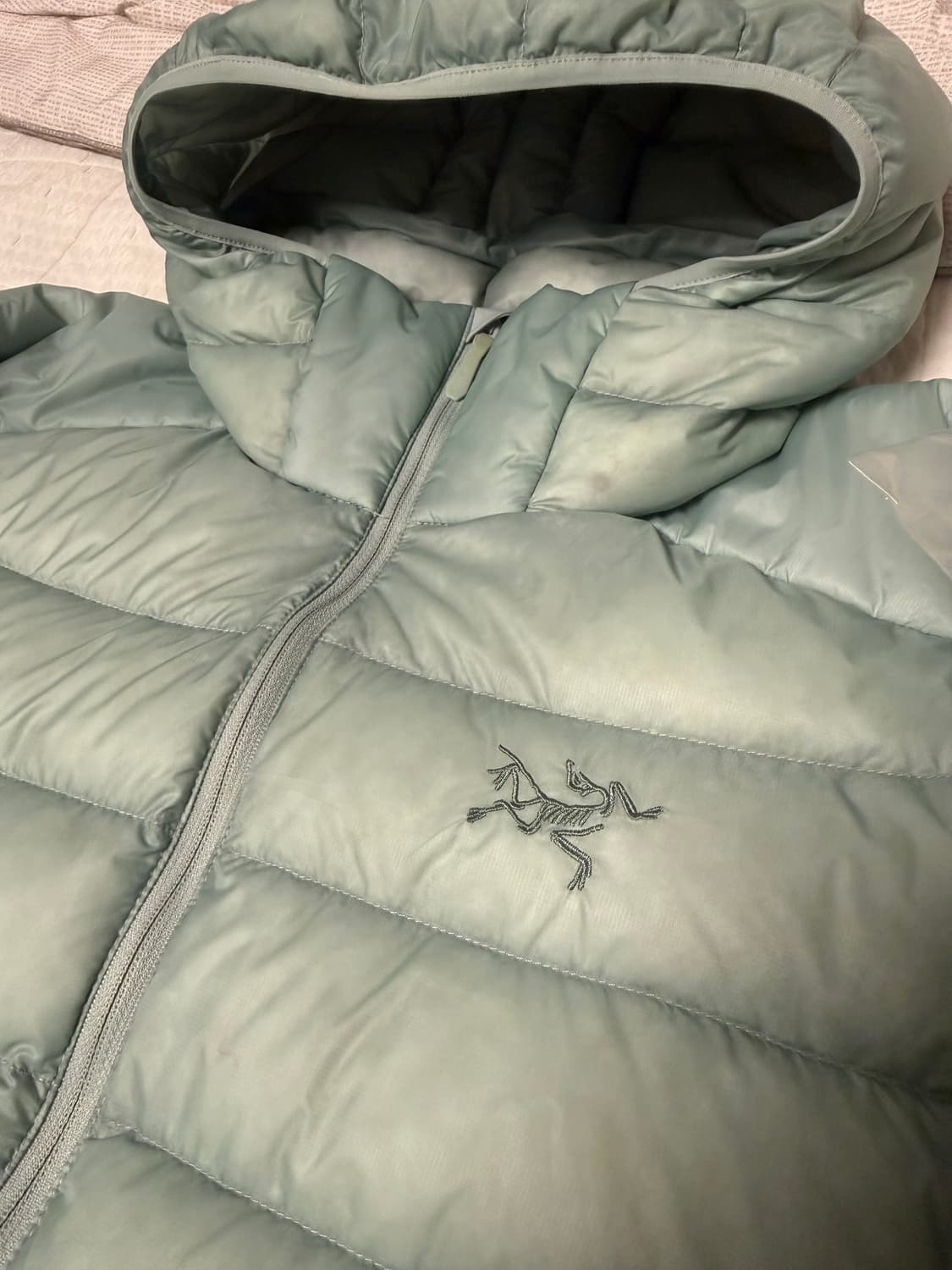 [xxl] 아크테릭스 세륨 후디 스톤그린 상품이미지2