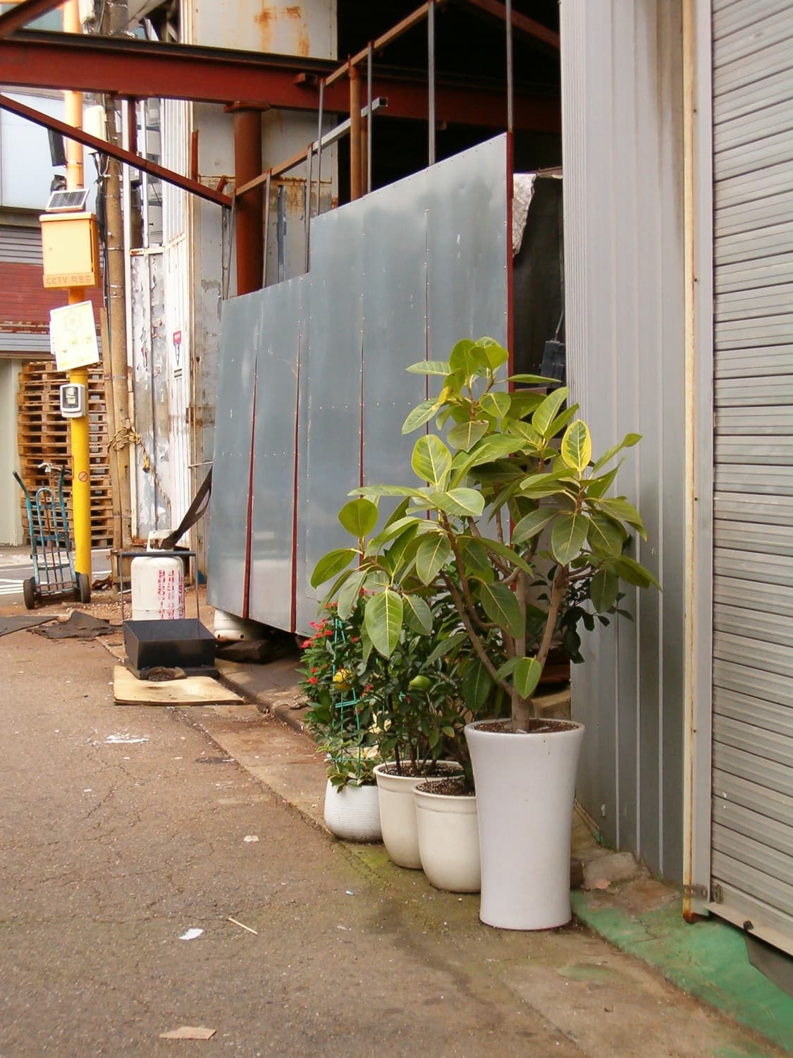 HP 포토스마트 735 디카 디지털 카메라 상품이미지10