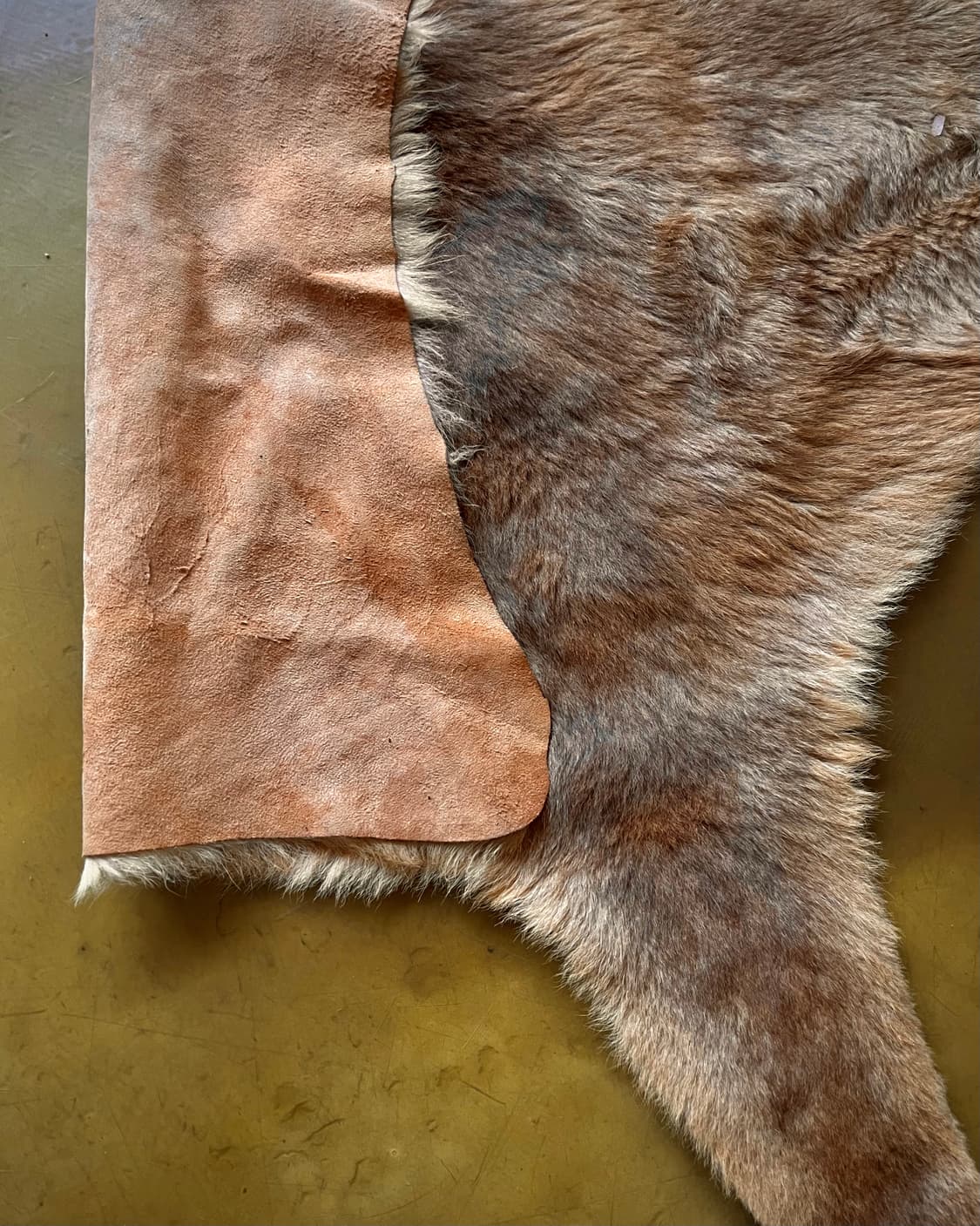 (A)2000s Australian Kangaroo Skin Carpet 상품이미지8