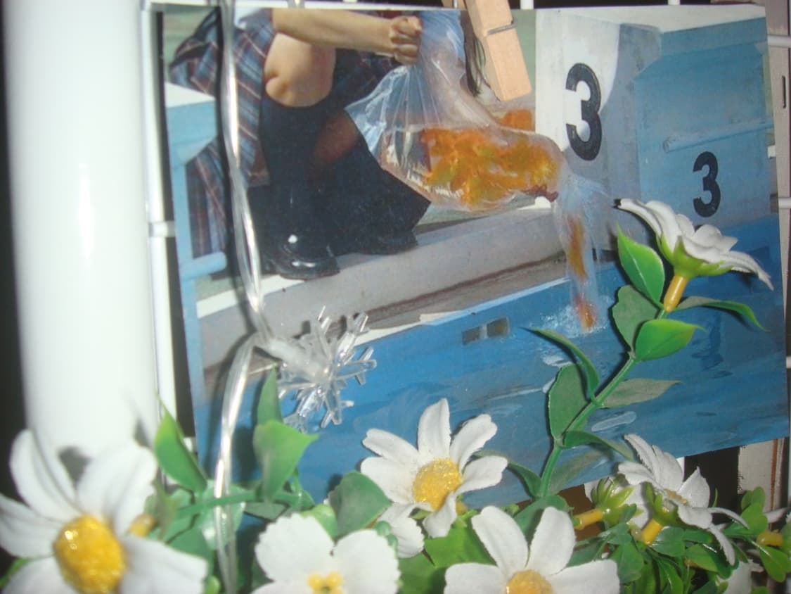 소니 사이버샷 DSC-T20 / 슬라이드 감성 메탈 디카 상품이미지2