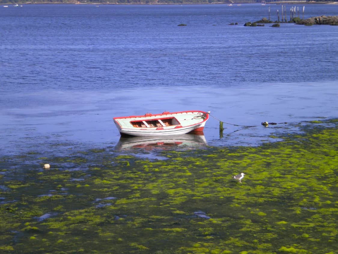 (한글) 니콘 쿨픽스 S220 빈티지 디카 상품이미지9