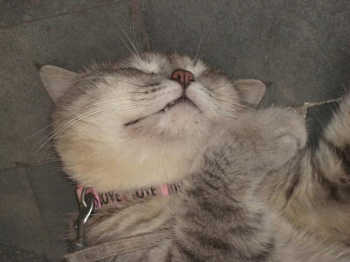 ✨ 소니 DSC-W80 화이트 🤍 깔끔함 끝판왕 감성 디카 ✨ 상품이미지9