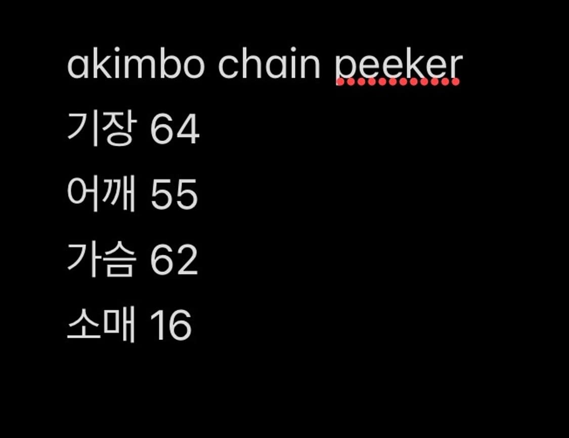 아킴보 클럽 체인 피커 뉴욕 티셔츠 L  chain peeker 상품이미지5
