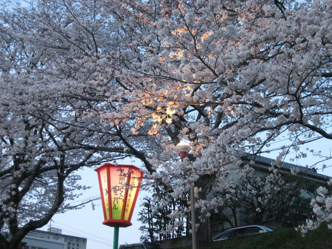 캐논 파워샷 Canon PowerShot A530 실버 상품이미지3