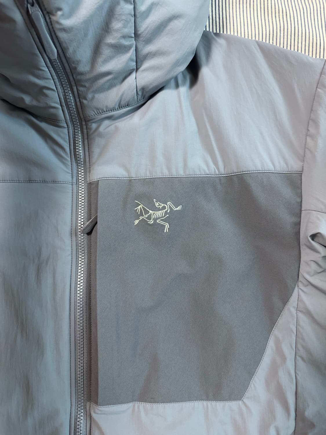 (S급) 아크테릭스 프로톤 후디 스트라터스 상품이미지5