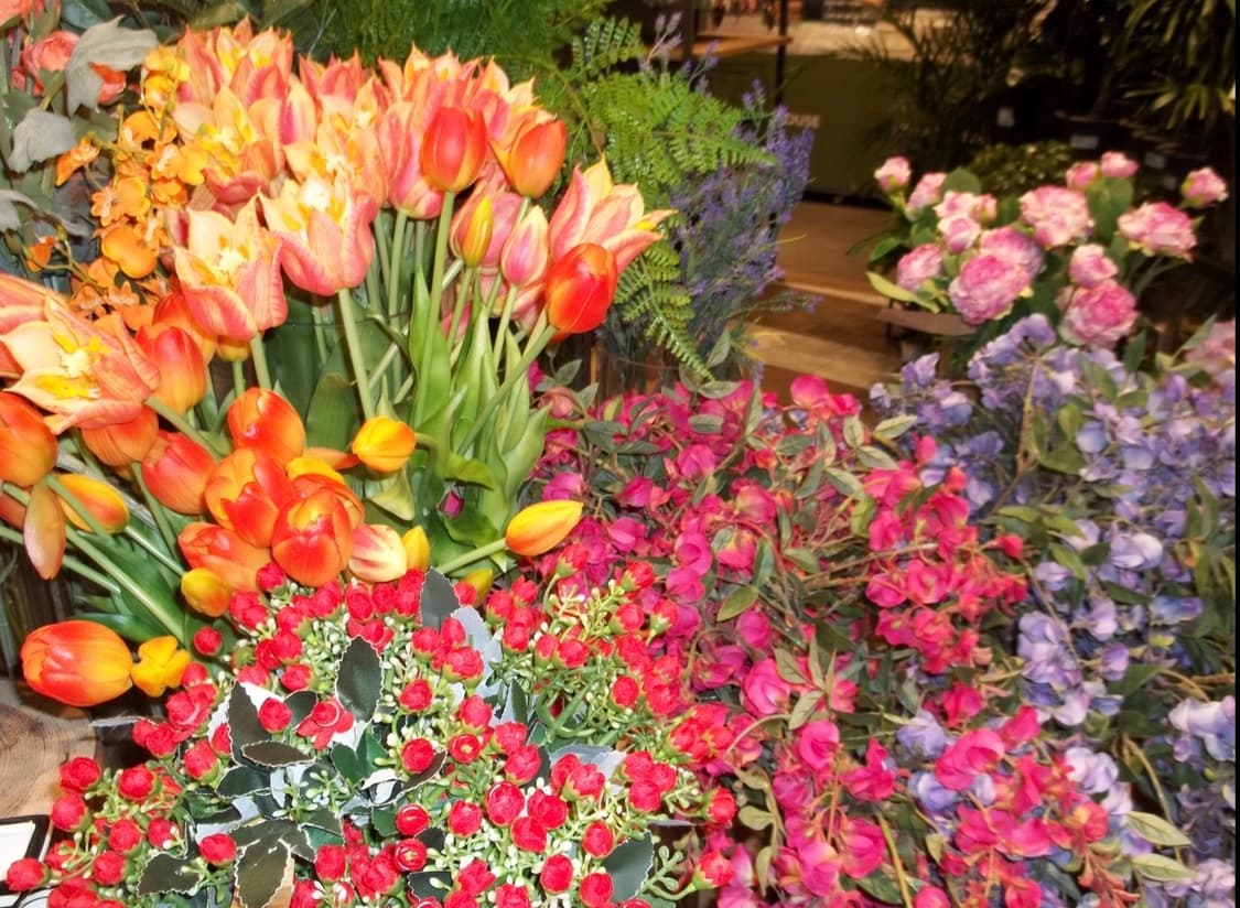 (키키디카) 코닥 이지쉐어 c195 A급 상품이미지3