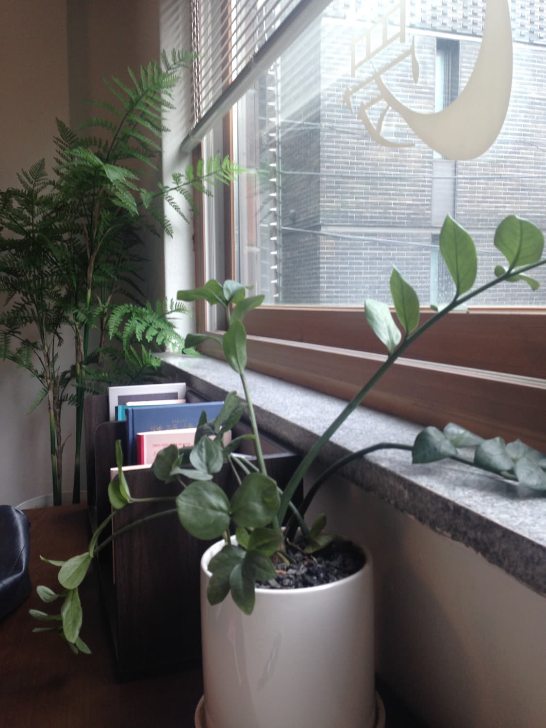 아이폰 5c 판매 상품이미지3