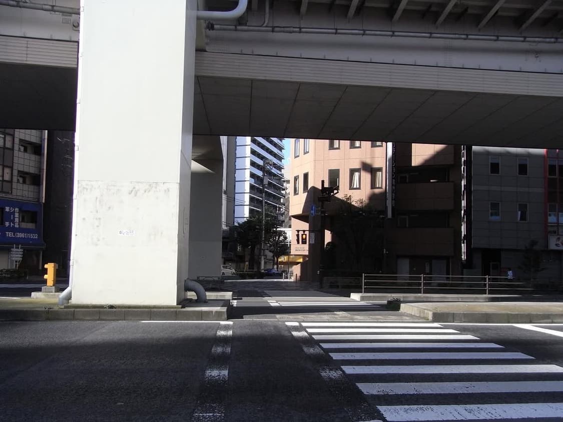 [작례 포함] 리코 R10 디카 상품이미지6