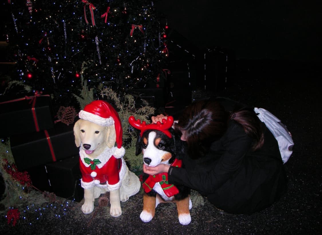 (작례!)Sanyo Xacti DSC-E6디카 상품이미지2