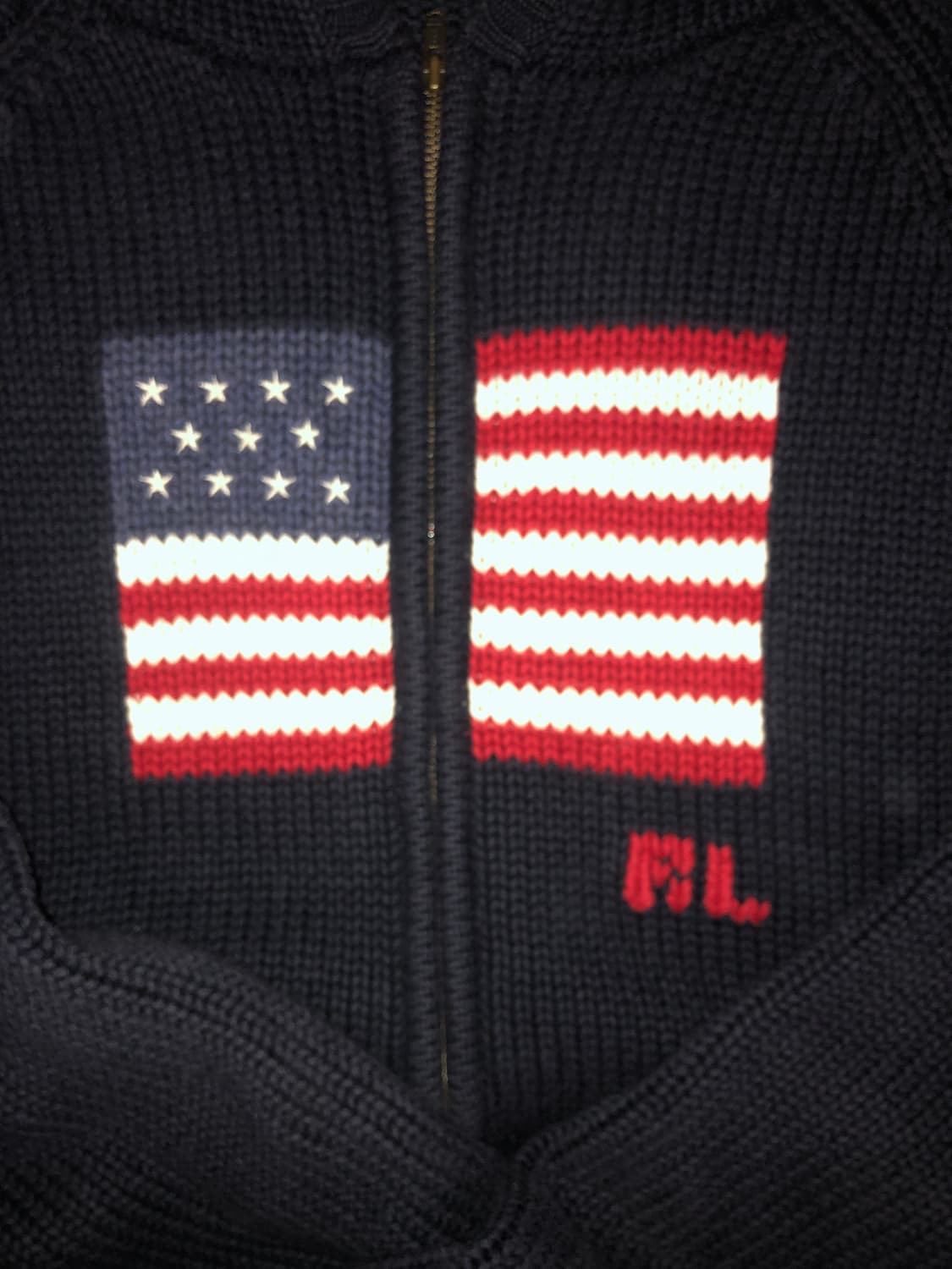 폴로 성조기 후드집업 상품이미지3