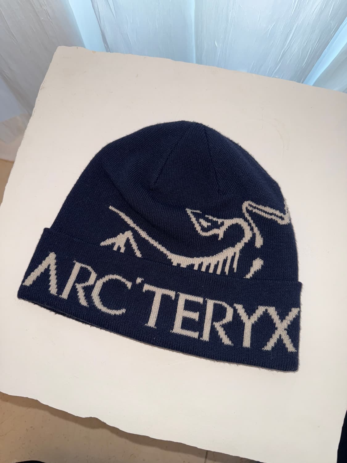 아크테릭스비니 상품이미지3