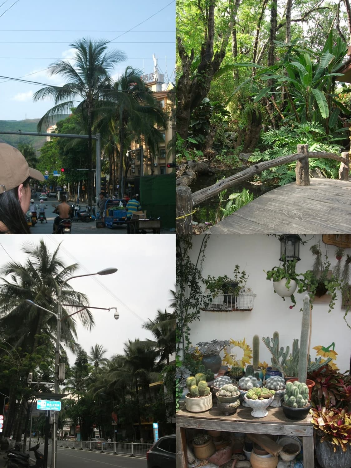 (필름느낌!🫧작례o) 후지필름 A220 | Fujifilm A220 상품이미지2