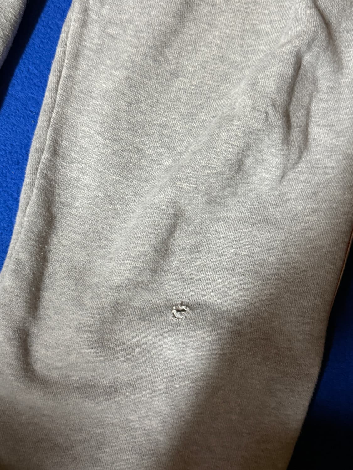 구찌 타이거 자수 조거팬츠 상품이미지8