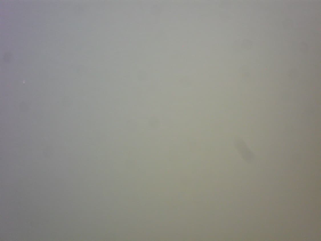 삼성 PL20 빈티지 디지털카메라 상품이미지8