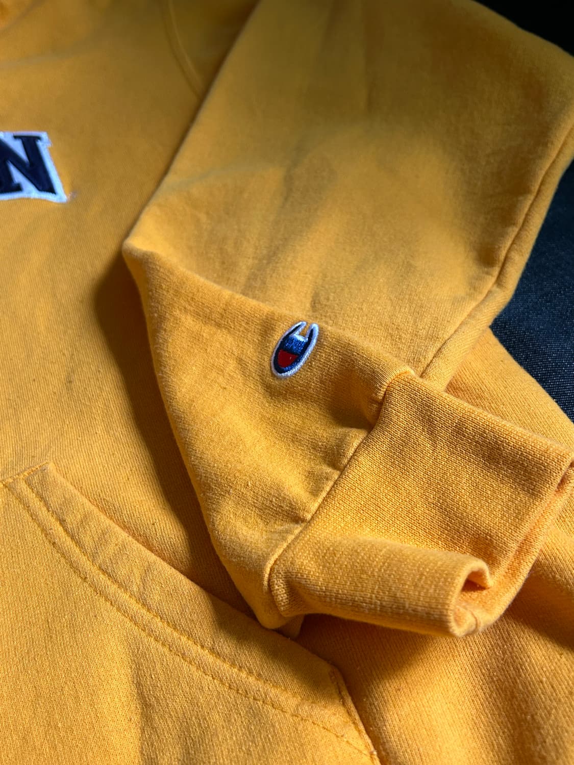 Champion Michigan Hoodie 상품이미지6
