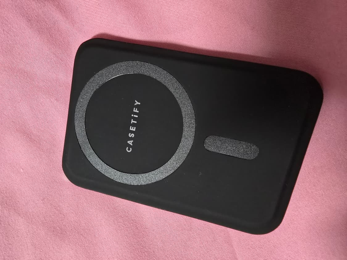 케이스티파이x오픈Yy블루리본 스네이크 카드홀더 새상품 상품이미지4