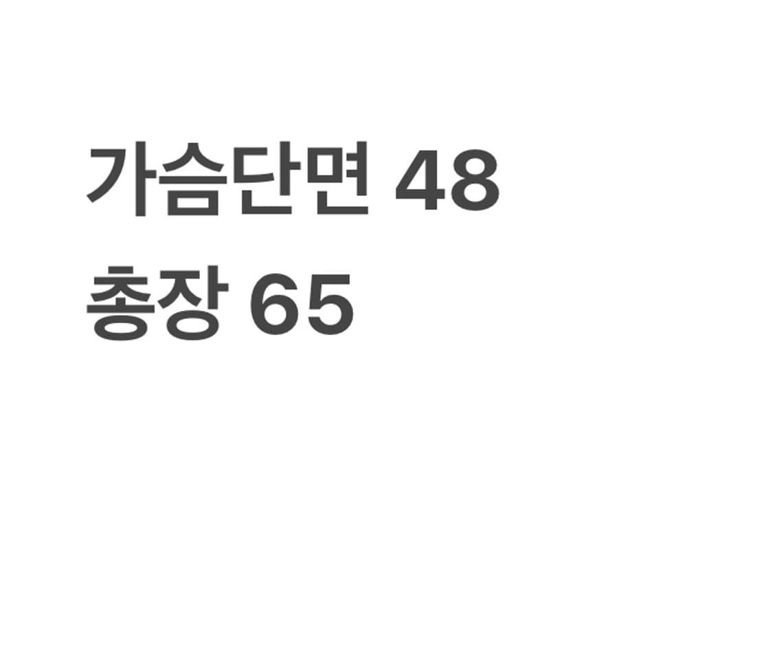 폴로 랄프로렌 반팔 티(XL) 상품이미지4