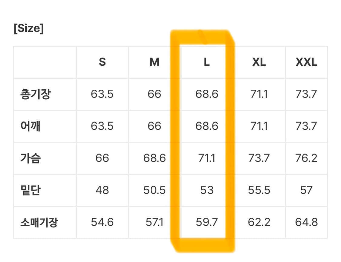 (L) 아이언슈타인 김종국 후드 그레이 상품이미지10
